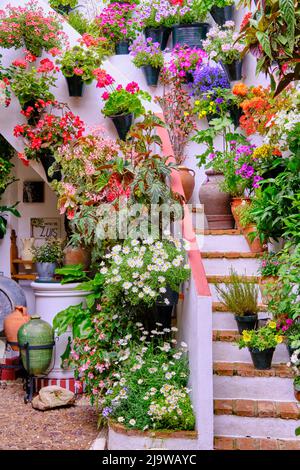 Un patio tradizionale di Cordoba, un cortile pieno di fiori e freschezza. Patrimonio culturale immateriale dell'umanità dell'UNESCO. Andalucia, Spagna Foto Stock