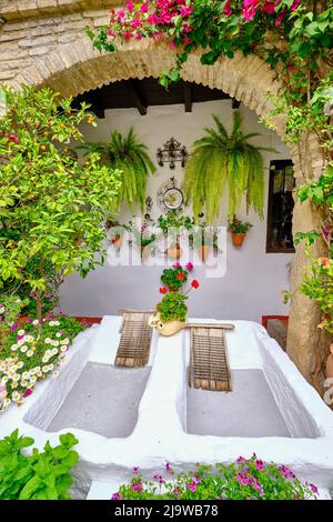 Patio (cortile) pieno di fiori e freschezza dell'Asociacion de Amigos de los Patios Cordobeses, distretto di San Basilio. Un cultu immateriale UNESCO Foto Stock