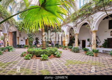 Cortile principale del Palacio de Viana, un palazzo del 14th secolo. Cordoba, Andalusia, Spagna Foto Stock