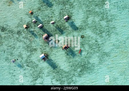 Villaggio gitaro di mare a Celebes mare Semporna Sabah Borneo Malesia Foto Stock