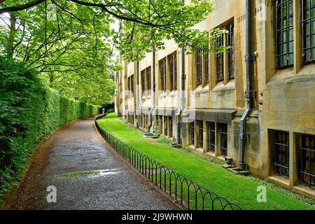 OXFORD CITY ENGLAND GROVE WALK O MERTON GROVE IN PRIMAVERA Foto Stock