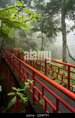 Giardini botanici Japanede Foto Stock