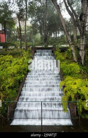 Giardini botanici Japanede Foto Stock