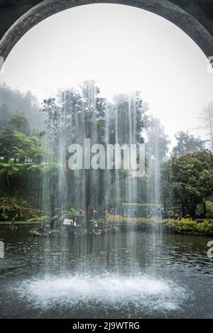 Giardini botanici Japanede Foto Stock