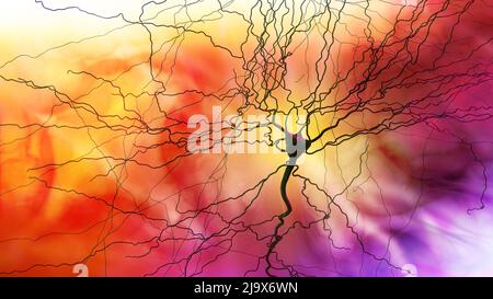 Connessioni sinapsi. Struttura che permette ad un neurone (o cellula nervosa) di passare un segnale elettrico o chimico ad un altro neurone. Sistema nervoso. Cervello Foto Stock