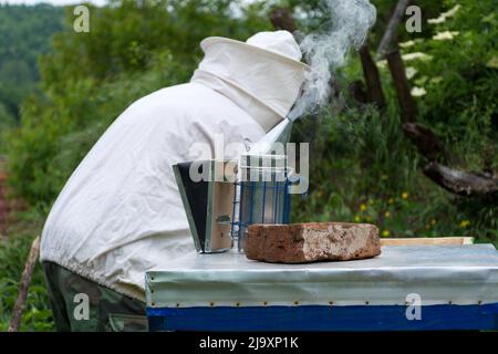 Fumatore di api in piedi sull'alveare e fumare. Apicoltore è in background e funzionante. Un fumatore di api è un dispositivo usato nell'apicoltura per calmare le api del miele Foto Stock