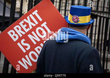 Londra, Regno Unito. 25 maggio 2022. Steve Bray, leader dello Stand of Defiance European Movement (SODEM), si trova al di fuori di Downing Street mentre il gruppo continua la sua campagna anti-Brexit iniziata nel settembre 2017 Credit: Kiki Streitberger/ Foto Stock