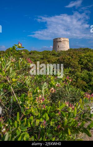 Vista di Torre de Son Gexo, Punta prima, Minorca, Isole Baleari, Spagna, Europa Foto Stock