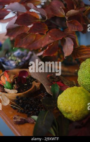 Natura Still vita di un assortimento di foglie, petali, frutta caduta Foto Stock