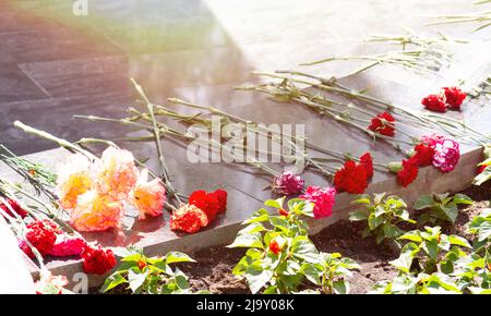 Memoriale commemorativo. Posa dei fiori al fuoco eterno. Omaggio alla memoria dei soldati caduti. Fiori e un saldatore per soldati. Foto Stock
