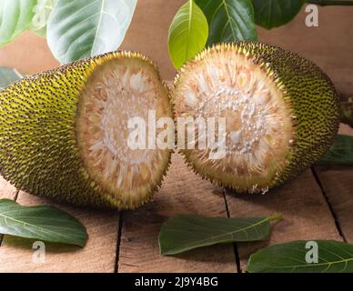 jackfruit tagliato a metà su un tavolo di legno con foglie di alberi di jack sullo sfondo, frutta benefica per la salute tropicale originaria del sud-est asiatico Foto Stock