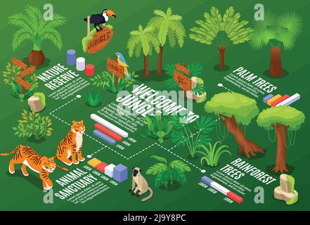 Composizione orizzontale della giungla isometrica con grafici di flusso e didascalie di testo con piante esotiche e illustrazioni vettoriali di animali selvatici Illustrazione Vettoriale