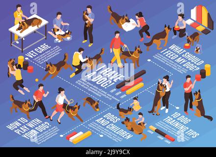 Composizione del diagramma di flusso orizzontale del cane isometrico di un giorno con immagini di cani con formatori veterinari e testo illustrazione vettoriale Illustrazione Vettoriale