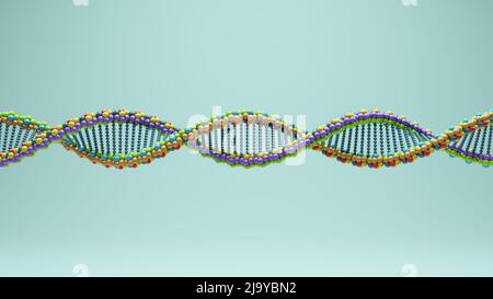 DNA Double Helix Spiral Molecule Scienza Biologia Ricerca Multi colored Cell acido desossiribonucleico Biotecnologia gene struttura 3D illustrazione Foto Stock