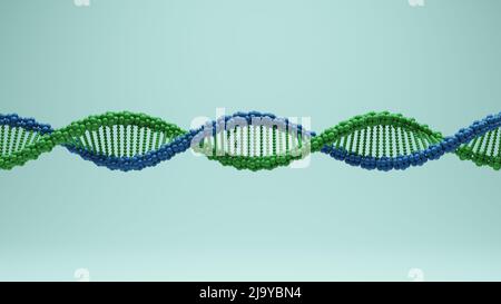DNA Double Helix Spiral Molecule Scienza Biologia Ricerca Blue Green Cell acido deossiribonucleico Biotecnologia gene struttura 3D rappresentazione Foto Stock