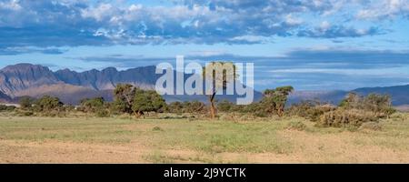 Namibia, panorama della savana, paesaggio selvaggio con montagne sullo sfondo Foto Stock