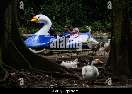 Bandung, Giava Occidentale, Indonesia. 26th maggio 2022. I visitatori visitano un giro in acqua nel Giardino logico dello Zoo di Bandung, Bandung, Indonesia. Il giardino logico dello Zoo di Bandung è una delle destinazioni turistiche per trascorrere il fine settimana con la famiglia. (Credit Image: © aggi Fabbri Sugita/ZUMA Press Wire) Credit: ZUMA Press, Inc./Alamy Live News Foto Stock