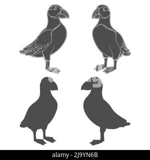 Set di illustrazioni in bianco e nero con uccello in puffin. Oggetti vettoriali isolati su sfondo bianco. Illustrazione Vettoriale