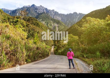 Donna in giacca rosa che guarda la vista del monte Kinabalu in Kundasang Sabah Borneo Malesia Foto Stock