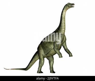 Dinosauro Saltasaurus che si alza e ruggita - resa 3D Foto Stock