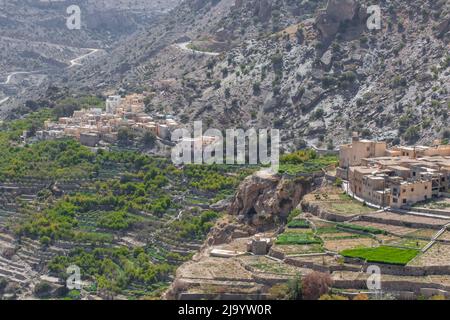 Situato a 2000m sopra il livello del mare e circondato da meravigliosi frutteti terrazzati, i villaggi gemelli di As Shuraija e al Ain Foto Stock