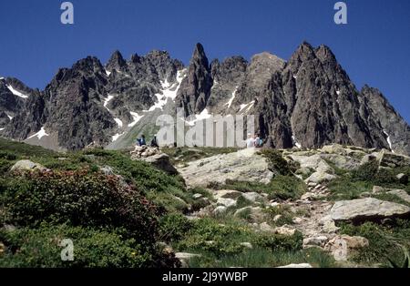 Sul sentiero escursionistico 'Tour du Mont Blanc' a lunga distanza, con le montagne del Massiccio del Monte Bianco. 1990 Foto Stock