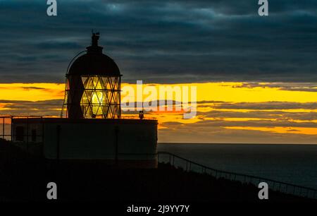 Faro di St Abbs il faro più a sud della costa orientale scozzese. Foto Stock