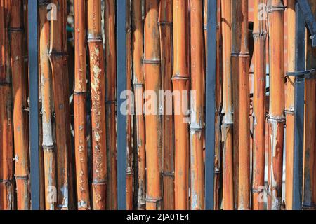 Recinzione privata fatta di germogli di bambù allineati verticalmente. Foto Stock