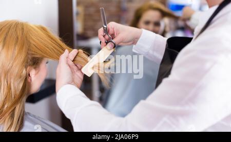 Parrucchieri livellando e tagliando i capelli alla giovane donna bionda con forbici e spazzola per capelli Foto Stock