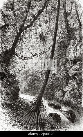 Ponte di Liana. Dipartimento di Nariño. Colombia, Sud America. Viaggio attraverso l'America equinoziale 1875-1876 da Edward Francois Andre. Le Tour du Monde 1879 Foto Stock