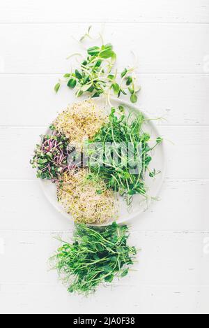 Un insieme di microgreens differenti in una pianta. Foto Stock