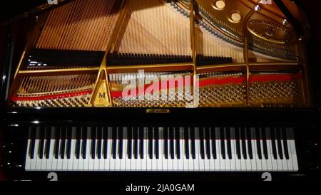 Ritratto di un mondo Steinway e Sons piano tastiera, archi e martello rotaia ad Atene, Grecia. Foto Stock
