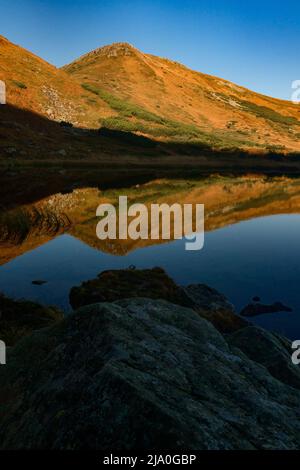 Riflesso del Monte Turku nella riserva del Lago Nesamovyto, del Lago Nesamovyte e del Monte Turkul, paesaggi autunnali dei Carpazi. Foto Stock