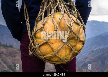 Un primo colpo di un uomo che trasporta una grande zucca in un cestino di trasporto della corda fatto a mano. Regione Himalayana di Uttarakhand India. Foto Stock