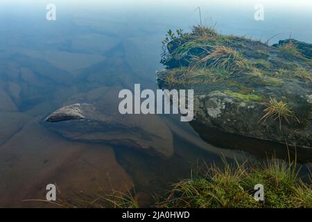 Le pietre sotto l'acqua sono coperte da piccole alghe verdi, acqua in piedi nel lago. Foto Stock