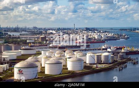 Vista aerea del terminal Maasvlakte 2 nel porto di Rotterdam, Paesi Bassi - 8 settembre 2019 Foto Stock