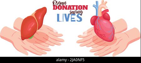 Concetto di donazione di organi umani con illustrazione vettoriale isolata isometrica del cuore e del fegato Illustrazione Vettoriale