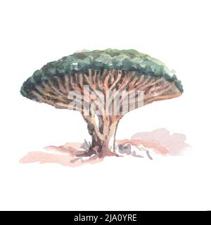 Alberi piante foresta australia natura wild watercolor illustrazione disegnato a mano elemento isolato su sfondo bianco cute baby immagini Foto Stock