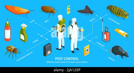 Infografiche isometriche per il controllo dei parassiti con didascalie di testo modificabili impiegati in tute di protezione chimica e icone di verminio illustrazione vettoriale Illustrazione Vettoriale