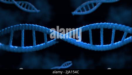 Immagine di macrofoni di DNA 3D blu che girano Foto Stock