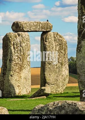 Uno dei grandi trilitini di Stonehenge, grandi rocce sarsen tappate da una pietra architrave, a formare una porta d'ingresso Foto Stock