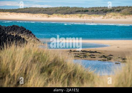 La spiaggia di Newborough / Malltraeth su Anglesey, Galles Foto Stock