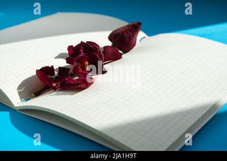 Rosa rossa asciutta sulle pagine di un notebook aperto Foto Stock