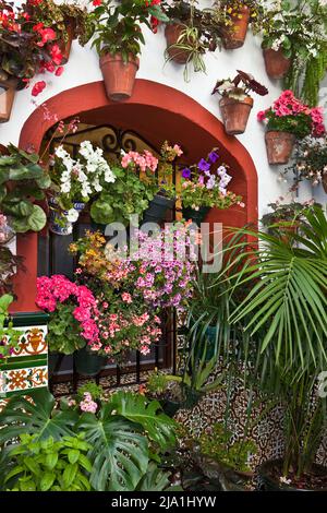 Patio decorato per Cordoba patio Festival Festival de los patios Cordobeses Cordoba Spagna Foto Stock