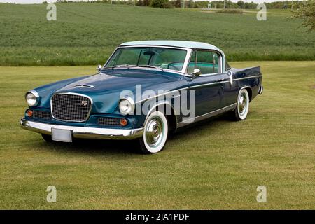 1956 falco d'oro Studebaker sull'erba. Foto Stock