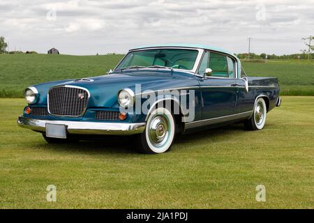 1956 falco d'oro Studebaker sull'erba. Foto Stock