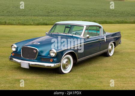 1956 falco d'oro Studebaker sull'erba. Foto Stock