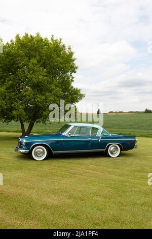 1956 falco d'oro Studebaker sull'erba. Foto Stock