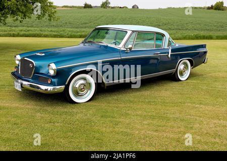 1956 falco d'oro Studebaker sull'erba. Foto Stock