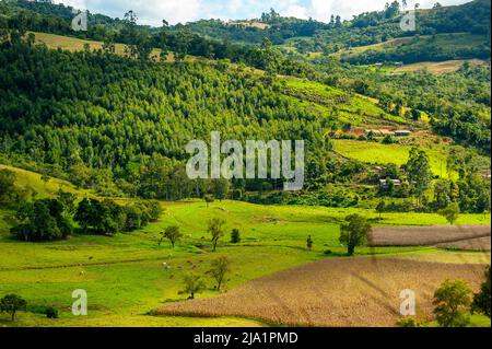 La vita rurale a Serra Catarinense, Santa Catarina, Brasile Foto Stock